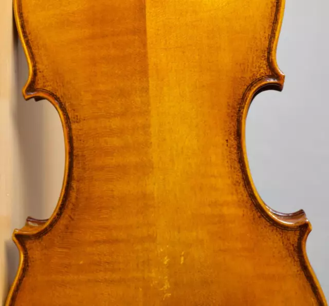 very old vintage 4/4 violin Geige viola cello labeled GAETANO GADDA Nr. 251 2