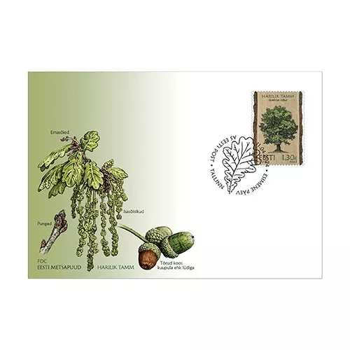 FDC of ESTONIA 2024 - Estonian forest trees The pendunculate (English) oak