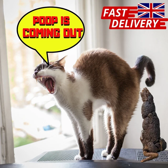 POOPING CATS CALENDAR 2023 Funny 2023 Calendar.Gag Gift for Cat Lovers