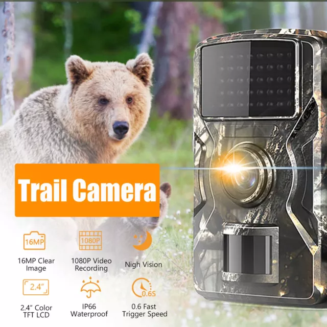 1080P Hunting Trail Game Camera Motion Detect Night Vision IP66 Waterproof K8Q8