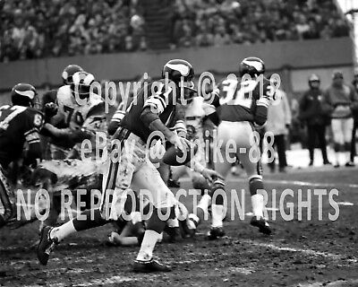 Joe Kapp #11 Minnesota Vikings Vs. L.a. Rams Nfl Western Conference Finals 1969