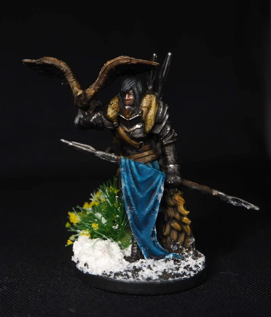 FROSTHAVEN BANNER SPEAR Class Painted miniature Only 129 99 PicClick