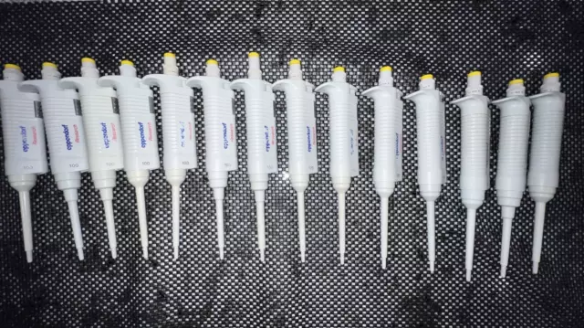 Eppendorf Research pipettes adjustable 10 -100 ul Free Shipping