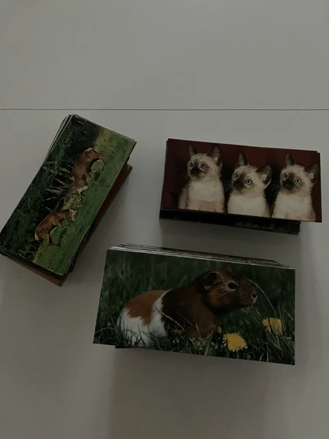 Lot De 24 Cartes Postales Nestlé Merveilles Du Monde - Nos 112 à 141 (France)