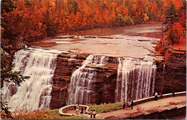 Letchworth State Park Castile New York NY Genesee River Gorge Postcard VTG UNP