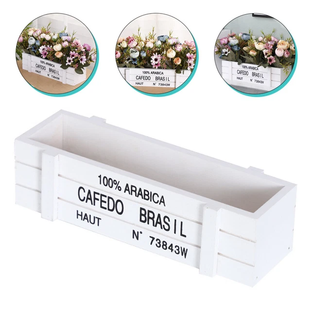 Air Plant Holder Flowerpot Vegetable Container Planters Indoor Plants Flowers