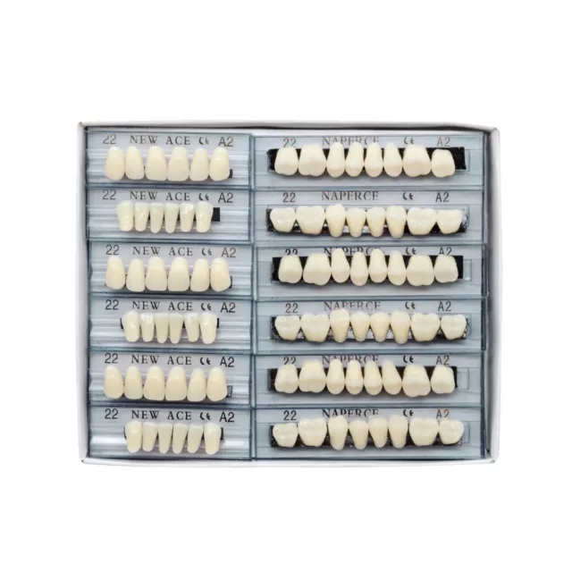 168pc Acrylic Resin Denture Full Set Teeth Upper Lower Shade Tooth Dental 22# A2