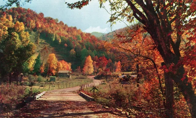 Colorful Autumn Scene in the Heart of the Mountains --POSTCARD