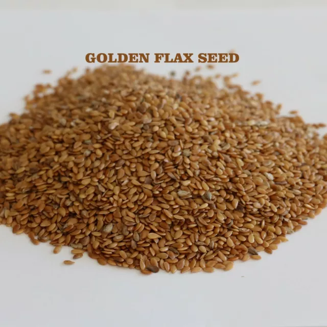FRESH ORGANIC GOLDEN Flax Seeds Linaza Flaxseed Bulk Omega3 NO