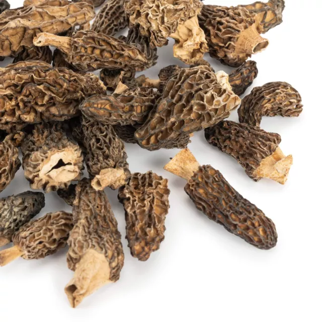 Dried Morel Mushrooms, Wild Morchellas 2