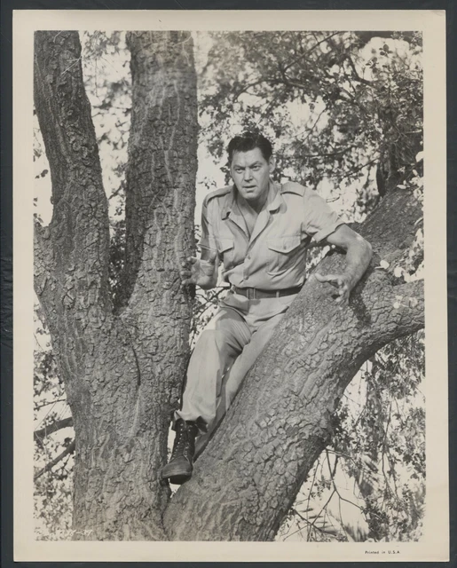 JOHNNY WEISSMULLER in @Col Jungle Manhunt '51 TREE JUNGLE JIM