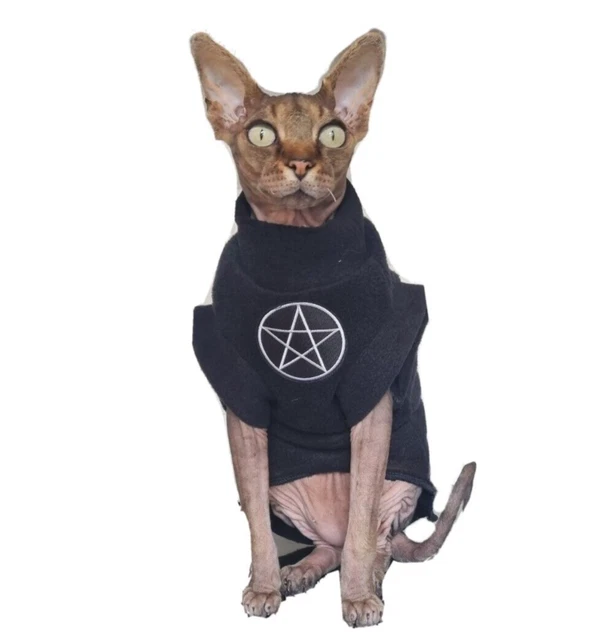 abiti adulti S/M PENTAGRAM per gatto Sphynx, abiti Sphynx, maglione HOTSSPHYNX