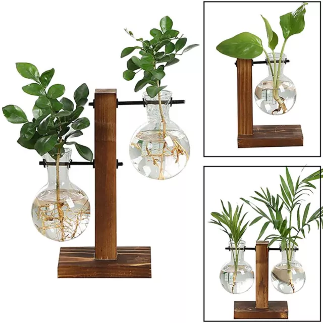 Plant Propagation Station Desktop Bulb Glass Vase With Wooden Stand Hydroponics