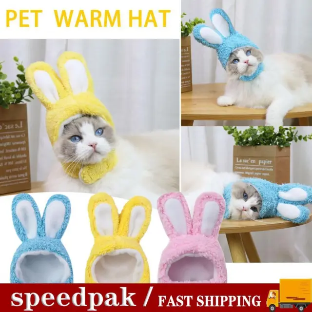 Divertente costume berretto cane gatto conigli caldi festa oggetti di scena natalizi foto X1J5