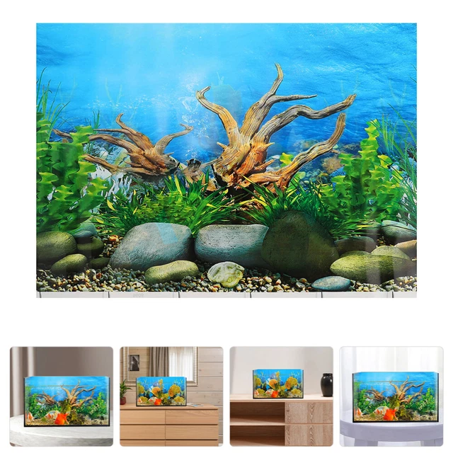 Aquarium S'accroche Fond De Terrarium Fond D'aquarium Autocollants 3d Photo