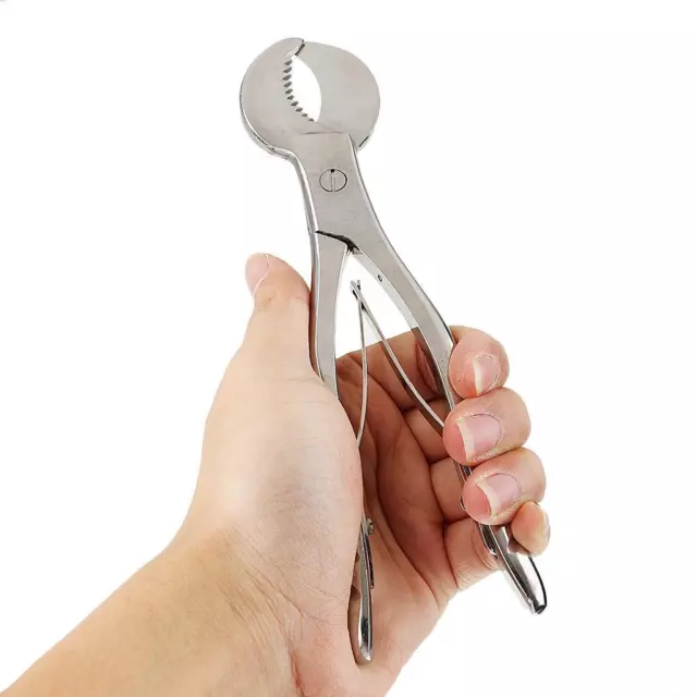 Dental Plaster Scissors Cutting Pliers Gypsum Shears Stainless Steel 8'' 20cm