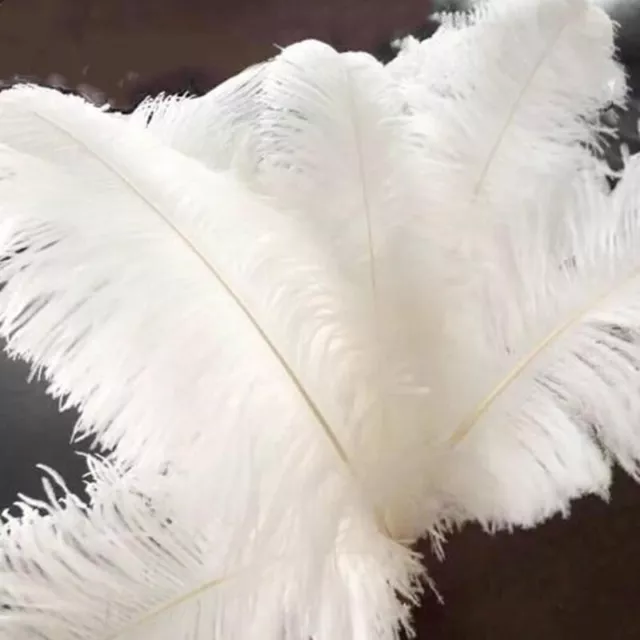 Pack Large Ostrich Feathers For Wedding Party Costume Decoration 10Pcs