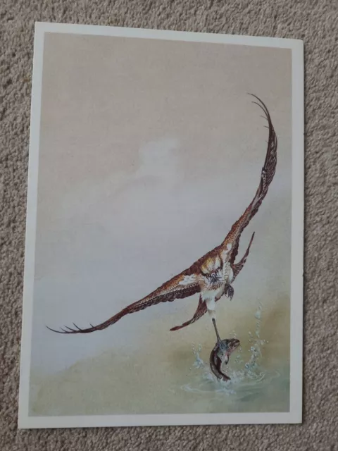 Vintage Canberra Cruise Luncheon Menu - Monday 3Rd August 1987 - The Osprey