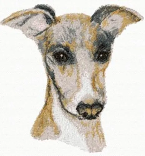Embroidered Sweatshirt - Italian Greyhound AED16353 Sizes S - XXL