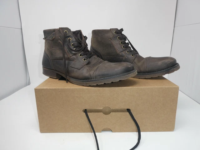 Bullboxer brosus sales