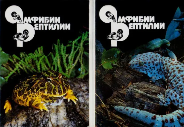 A set of 22 postcards from the USSR Amphibian Reptiles Photo by S. Kochetov 1989