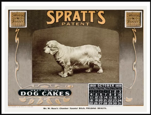 Clumber Spaniel Named Dog Vintage Style Dog Art Advert Print Poster