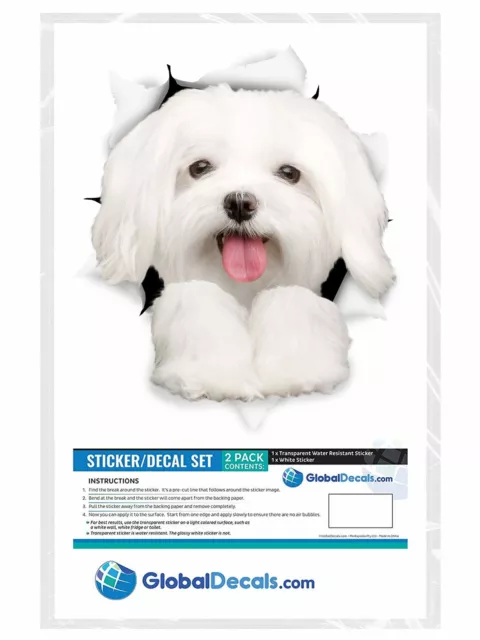 Neuf ! Autocollants Winston & Bear 3D Dog - Pack de 2 - Jolis autocollants maltais pour mur 2