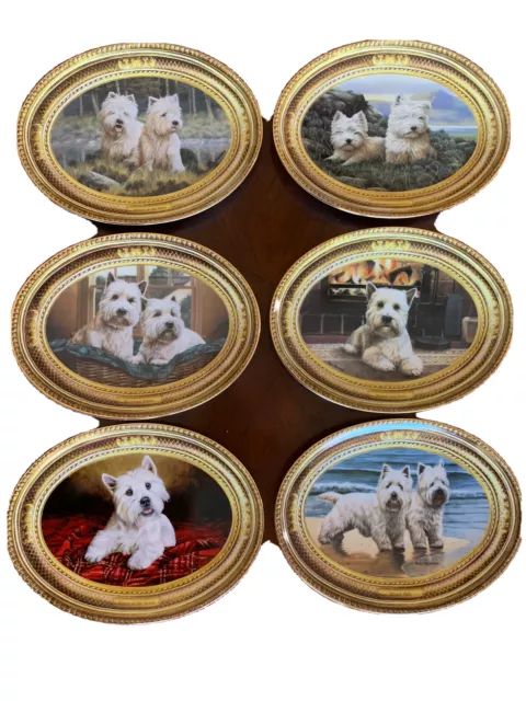 West Highland White Terrier Dog Plates From Franklin Mint Set Of 6 Nigel Hemming