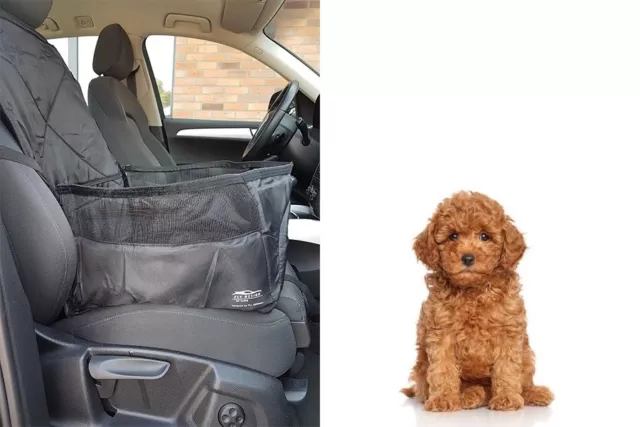 Siège d'auto pour chien à console centrale avec transport de sangle  réglable pour la sécurité du chat Soft