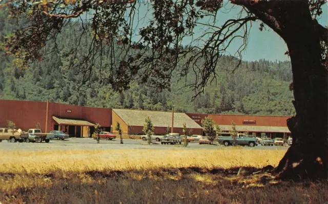 California CA   HOOPA VALLEY SHOPPING CENTER  Humboldt County  c1970's  Postcard