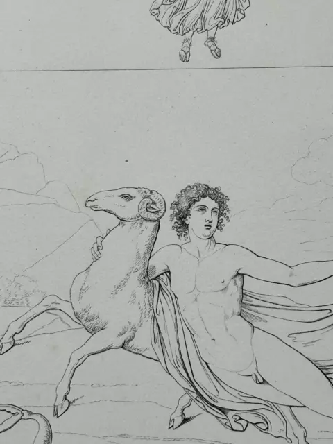 Gravure XIXème Antiquité Phrixus mythologie art antique curiosa nu masculin