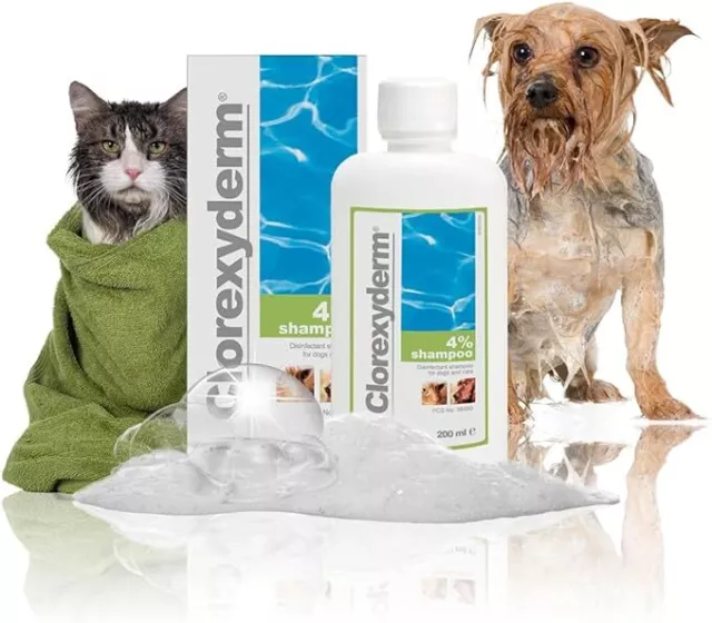 ICF | Clorexyderm Dog Shampoo For Itchy Skin Relief 200ml Anti Itch + Antifungal