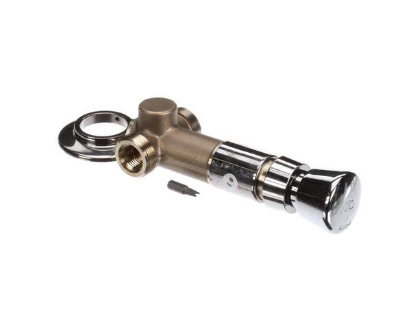 T&S Brass Concealed Straight Valve, Slow Self Closing, Vanda B-1029 - Free