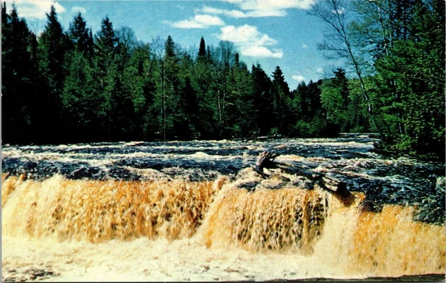 Lower Falls Tahquamenon River Michigan Upper Peninsula Postcard VTG UNP Vintage