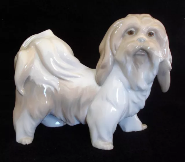 Lladro Dog Porcelain Lhasa Apso/Tibetan Terrier Rare Glazed Figurine # 4642 Mint