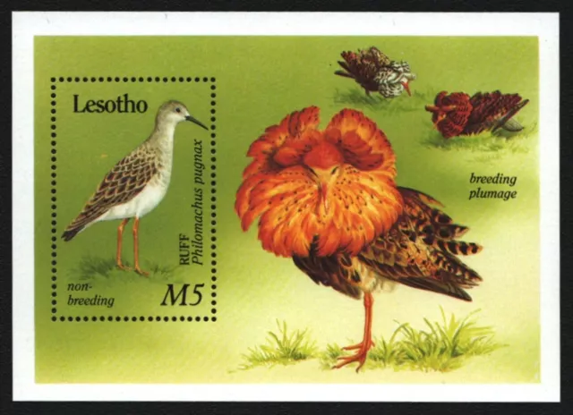 Lesotho 1989 - Mi-Nr. Block 66 ** - MNH - Vögel / Birds