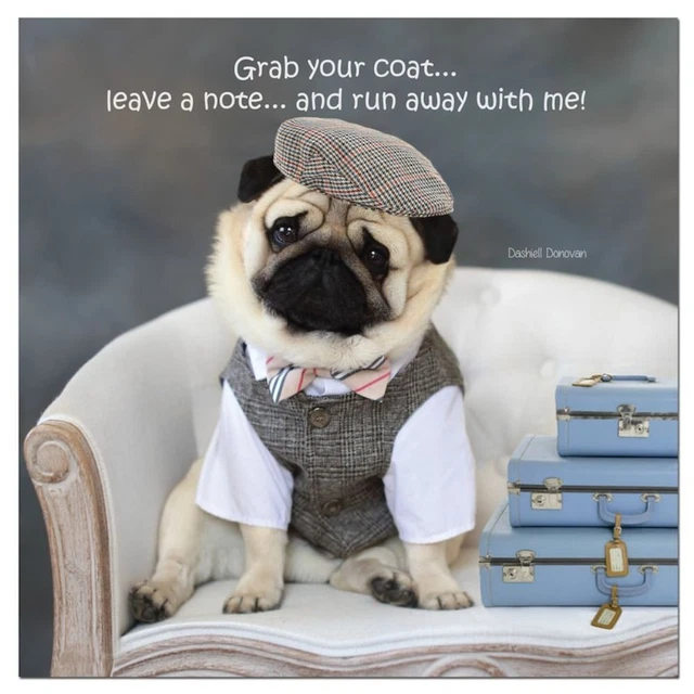 ORGANISER 2024 MONTHLY Calendar Dog Monthly Planner Pug Wall Calendar