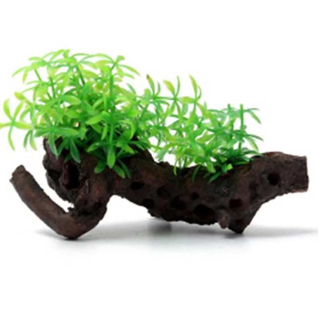 Transformez votre aquarium avec décoration réaliste de plantes et de bois coff
