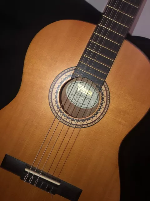 valencia guitar