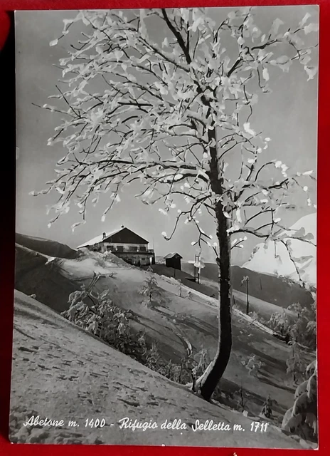 Cartolina Abetone Rifugio Della Selletta