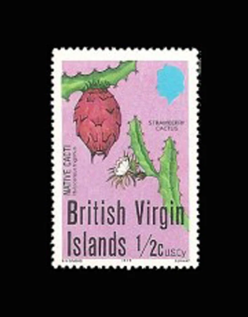 VIRGIN IS, Sc #350, MNH, 1979, Cactus, flowers, flora, plants.