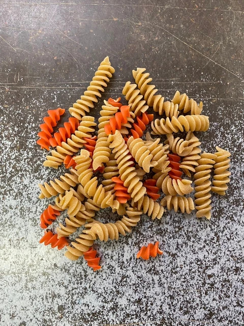 Pasta zootecnica PER CANI 19 KG mangime per cane DA CUOCERE cibo per cani adulti