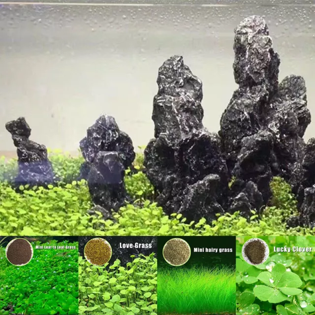 Aquarium Aquatique Graines Jardin Eau Pelouse Plante Paysagisme Facile Faîtes 》