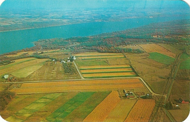 Vintage Adirondacks New York Pc ~ Aerial View Lake Seneca, Finger Lake Region Ny
