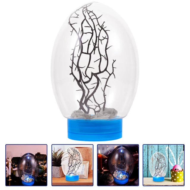 kids barrettes Practical Small Fish Tank Ecosphere Closed Ecosystem Desktop Fish