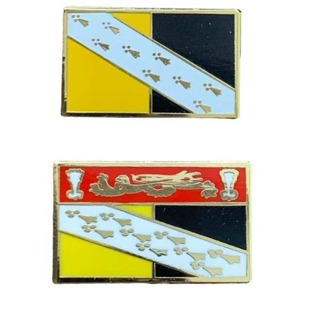 Set Of Two Norfolk County Crest And No Crest Enamel Gold Lapel Pin Badges