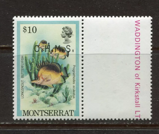 MONTSERRAT 1981, BUTTERFLY FISH, TOP VALUE, Scott O55 ($10.00), MNH