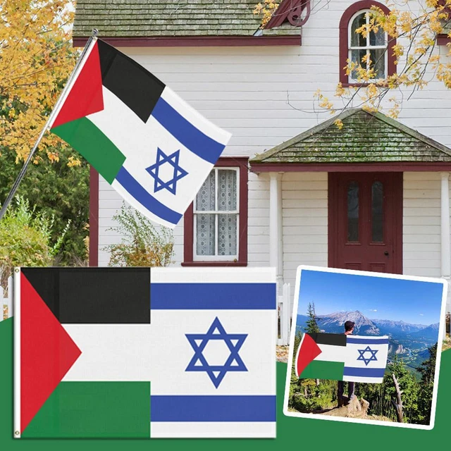 Bandiera Palestinese E Pallone Da Calcio - Immagini Vettoriali Stock E - Foto 2