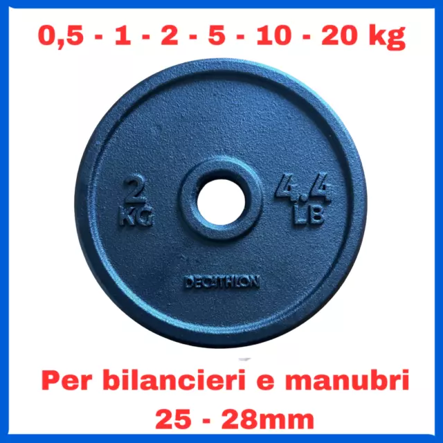 Dischi in ghisa 28mm da 0,5 1 2 5 10 20 kg disco palestra pesi per bilanciere