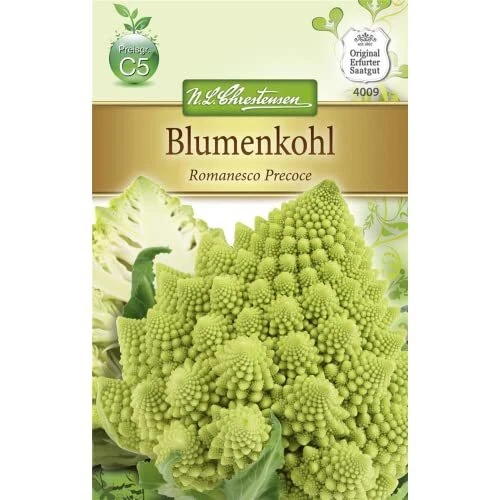 Fioriera"Romanesco Precoce" (Brassica oleracea) precoce, decorativa, (D5Y)